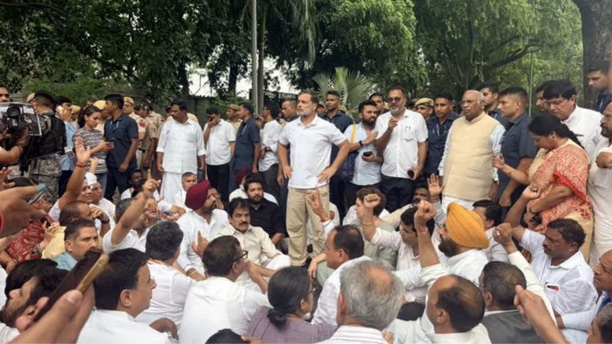 1200-675-27199324-thumbnail-16x9-rahul