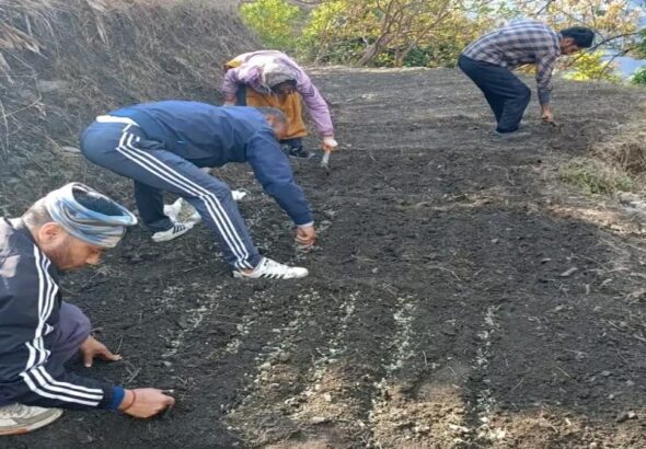 1200-675-27944300-thumbnail-16x9-farming-aspera